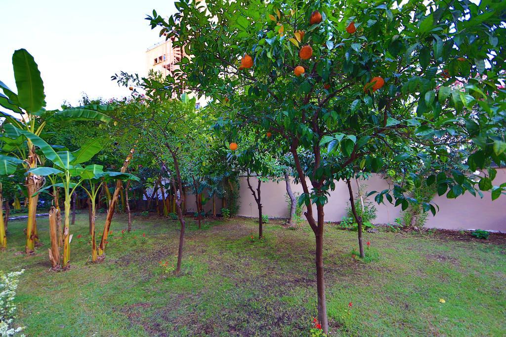 אלאניה Perle Apart Hotel מראה חיצוני תמונה
